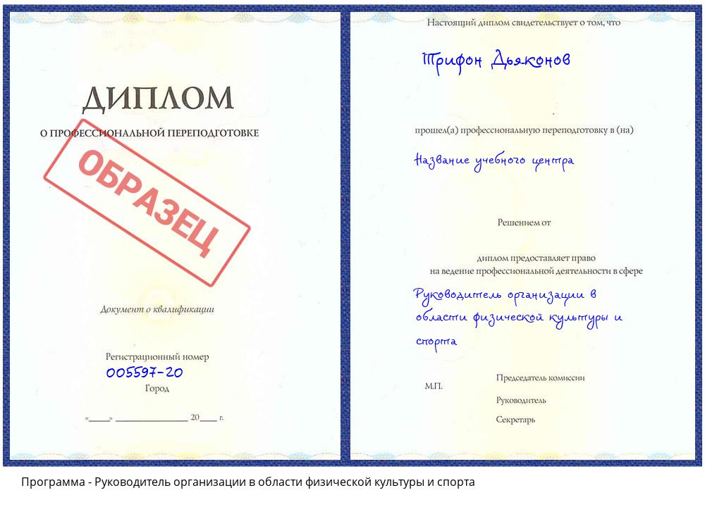 Руководитель организации в области физической культуры и спорта Биробиджан
