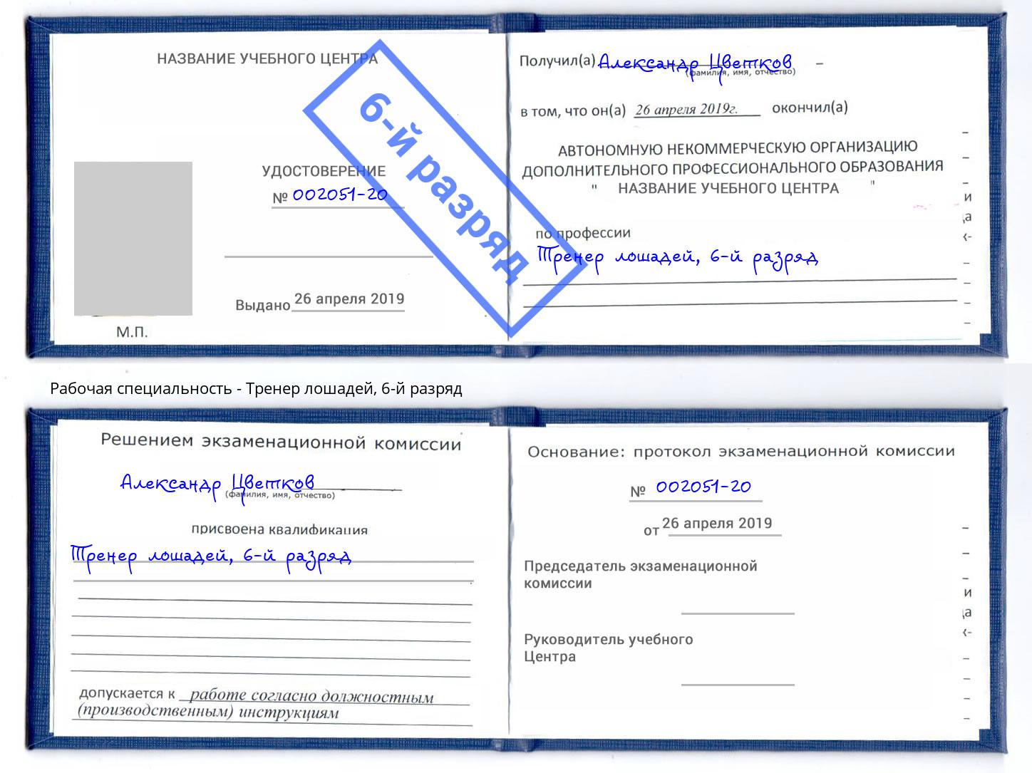 корочка 6-й разряд Тренер лошадей Биробиджан