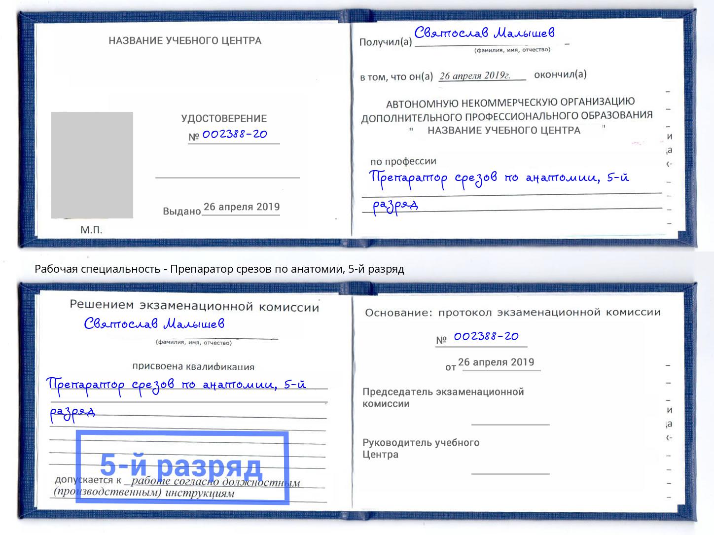 корочка 5-й разряд Препаратор срезов по анатомии Биробиджан