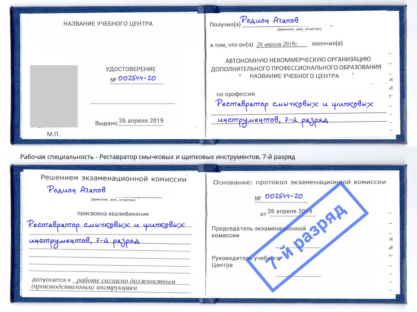 корочка 7-й разряд Реставратор смычковых и щипковых инструментов Биробиджан