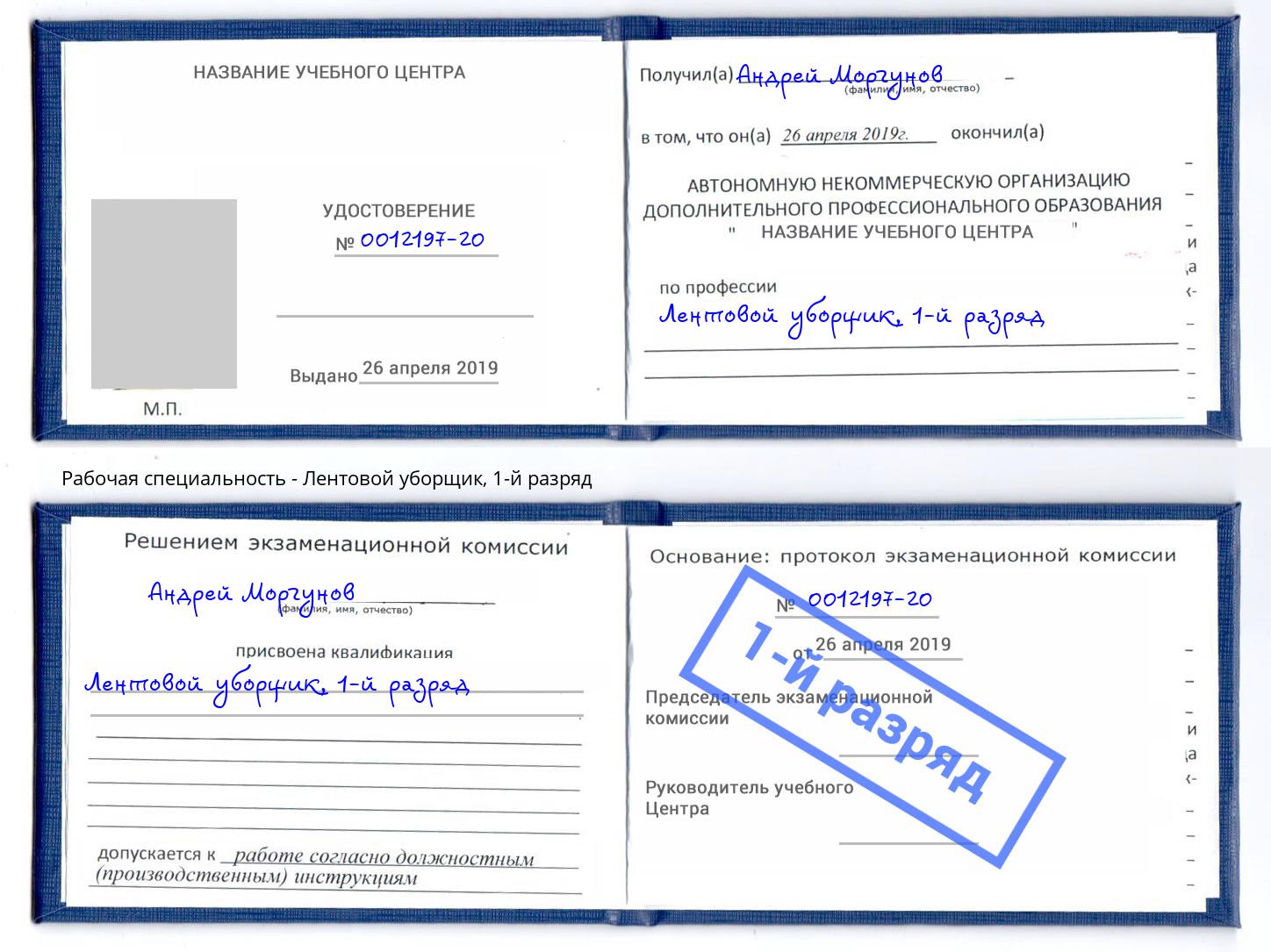 корочка 1-й разряд Лентовой уборщик Биробиджан