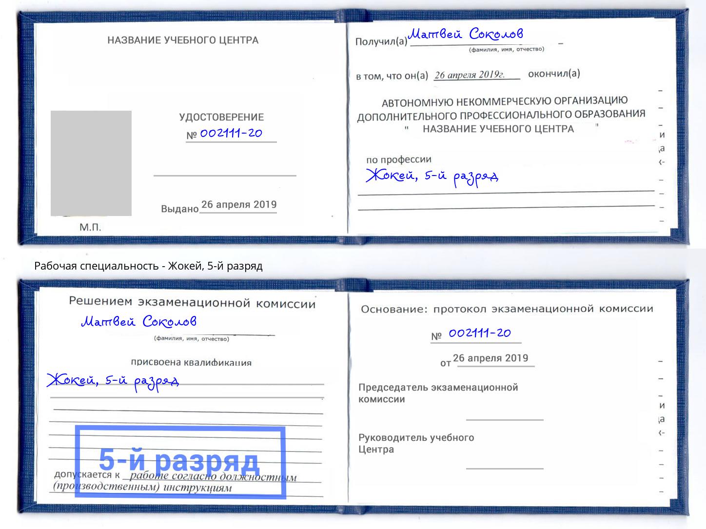 корочка 5-й разряд Жокей Биробиджан
