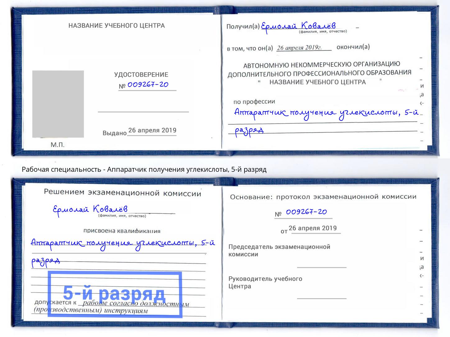 корочка 5-й разряд Аппаратчик получения углекислоты Биробиджан
