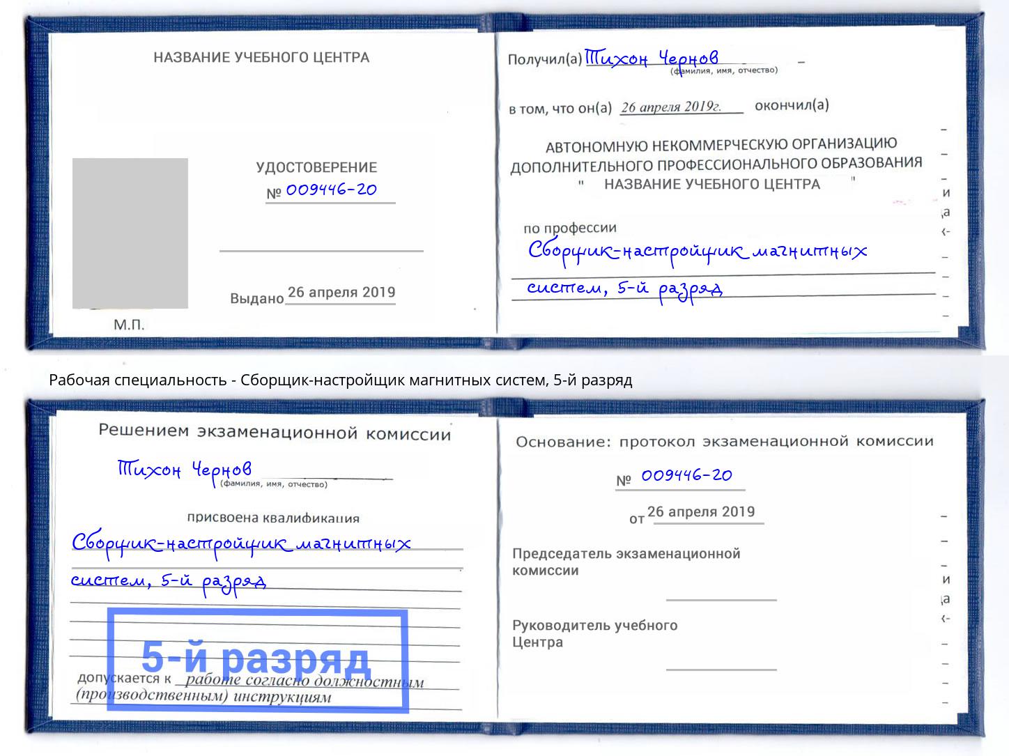 корочка 5-й разряд Сборщик-настройщик магнитных систем Биробиджан